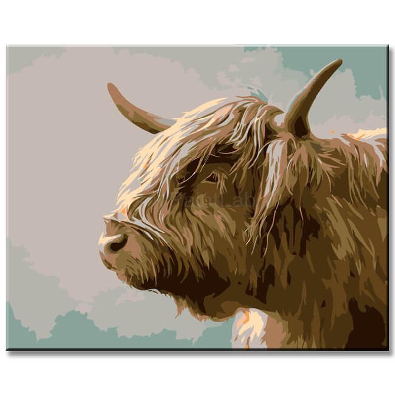 Painting by Numbers Brown Highland Cow Shipping from DE