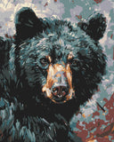 Malen nach Zahlen Schwarzer Bär I