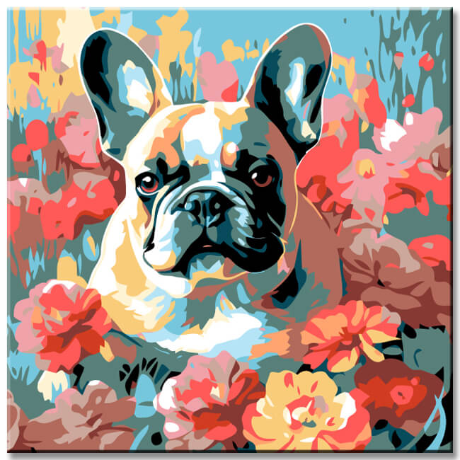 Malen nach Zahlen Tiermotiv Mops