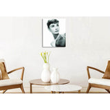 Malen nach Zahlen Bilder Audrey Hepburn