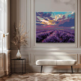 Grind after taking pictures of lavender fields