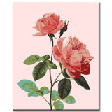 Grind nach Zahlen Blumen Rosa Rose