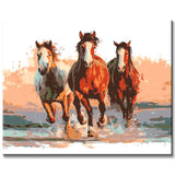 Always take care of yourself while galloping