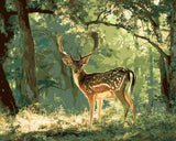 Grind after zahlen pferde schwarz weisses pferd