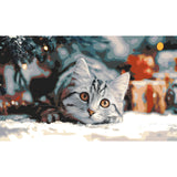 Malen nach Zahlen Weihnachten Katze