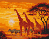 Grind after the Giraffe and Zebras