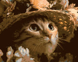 Enjoy your stay with a hut