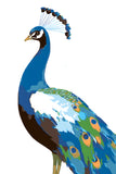 Grind to Count Pfau