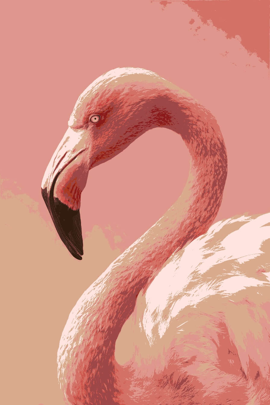 Painting by Numbers Animals Flamingo