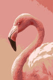 Painting by Numbers Animals Flamingo