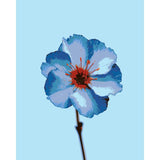 Grind to count blue flower