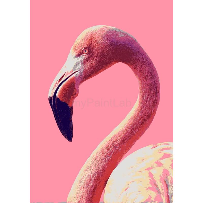 Paint by Numbers Flamingo Portrait