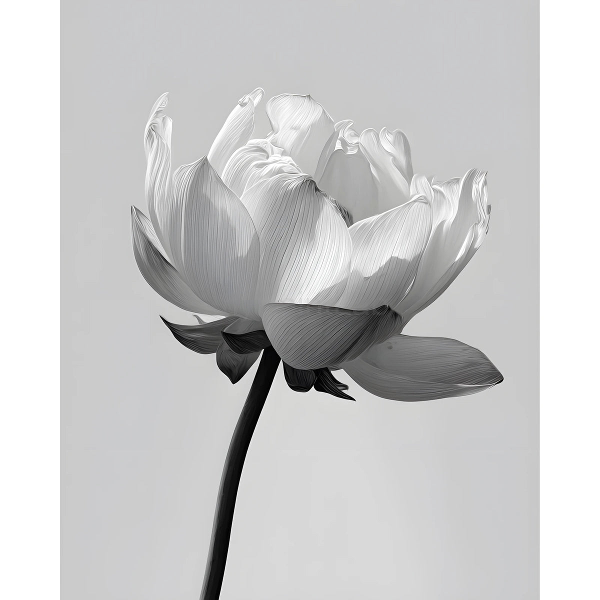 Grind nach Zahlen Blume black white
