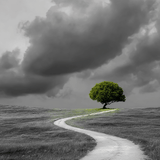 Grind nach Zahlen schwarz weiss Grüner Baum