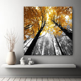 Grind nach Zahlen Laubwald SS-499