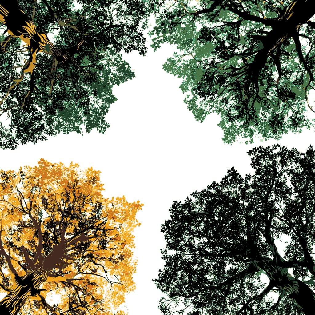 Grinding to count laubwald