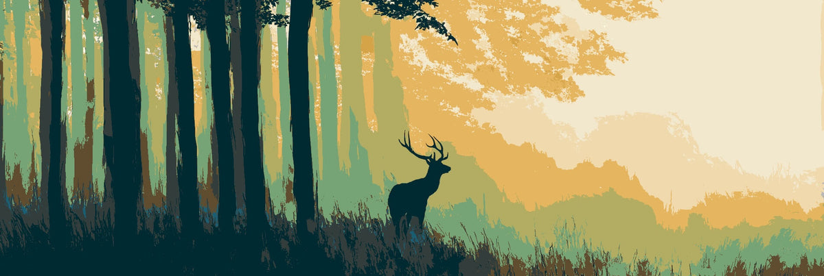 Gently to Count Wild in the Forest