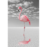 Paint by Numbers Flamingo on the Shore