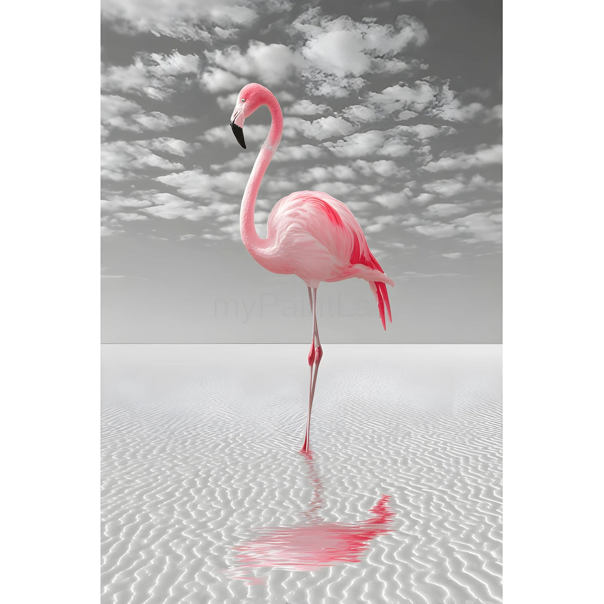 Paint by Numbers Flamingo on the Shore