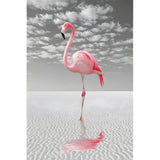 Paint by Numbers Flamingo on the Shore