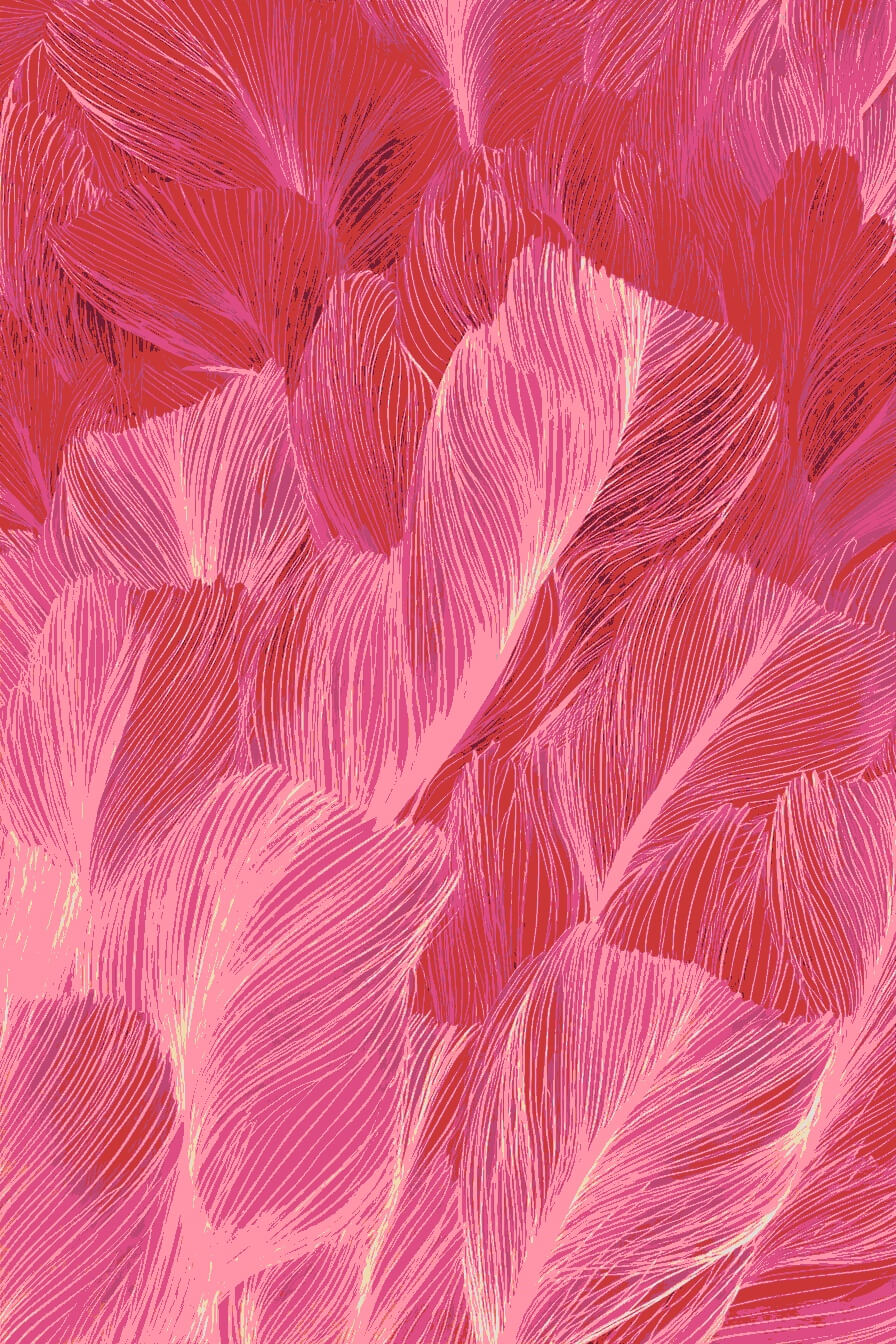 Grind to Count Corals