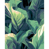 Grinding to Counting Plants