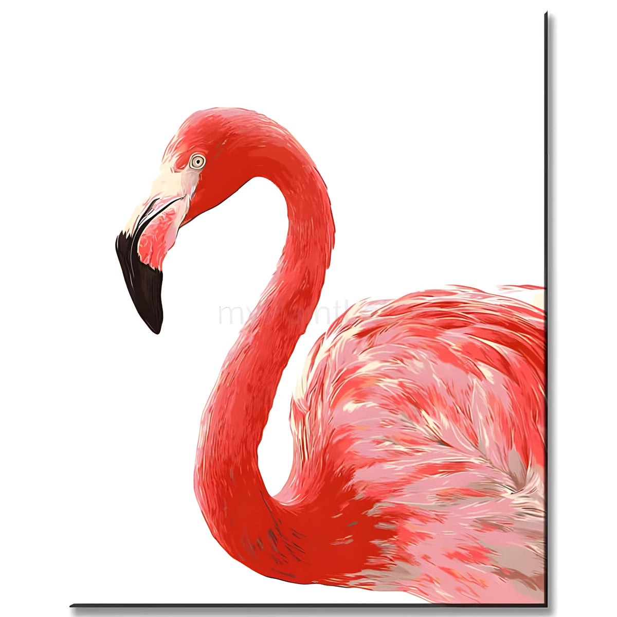 Malen nach Zahlen Flamingo
